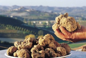 tartufo bianco