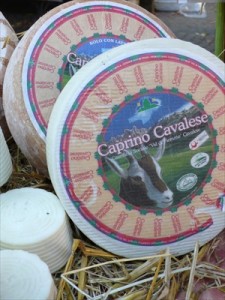 caprino_cavalese